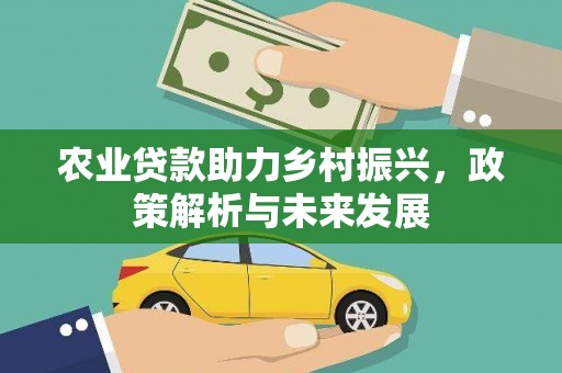 濮阳农业贷款助力乡村振兴，政策解析与未来发展