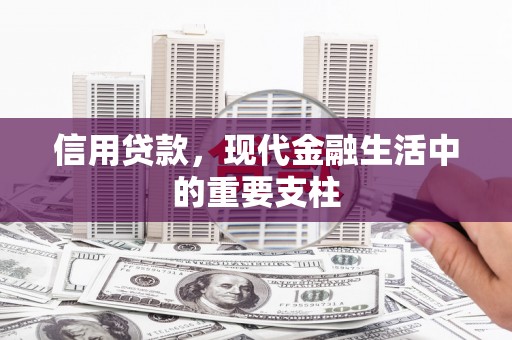 濮阳信用贷款，现代金融生活中的重要支柱