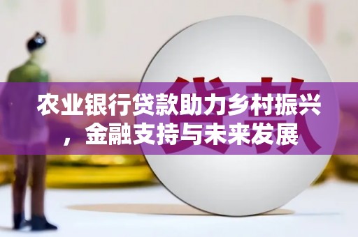 濮阳农业银行贷款助力乡村振兴，金融支持与未来发展