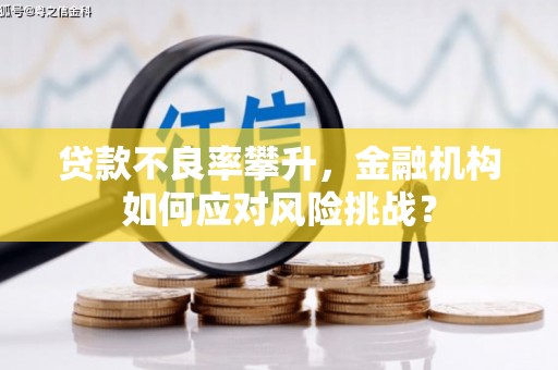 濮阳贷款不良率攀升，金融机构如何应对风险挑战？