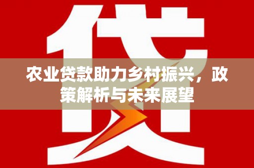 濮阳农业贷款助力乡村振兴，政策解析与未来展望