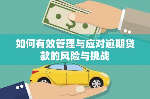 濮阳如何有效管理与应对逾期贷款的风险与挑战