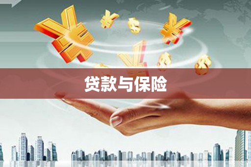 濮阳贷款与保险