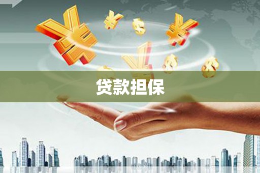 濮阳贷款担保
