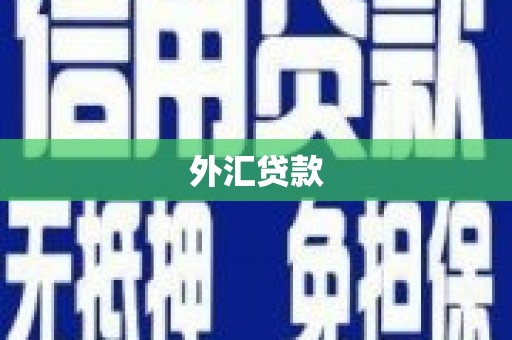 濮阳外汇贷款