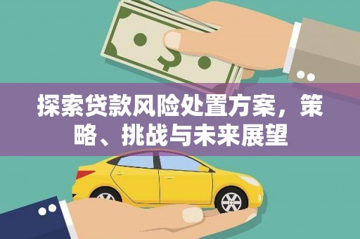 濮阳探索贷款风险处置方案，策略、挑战与未来展望