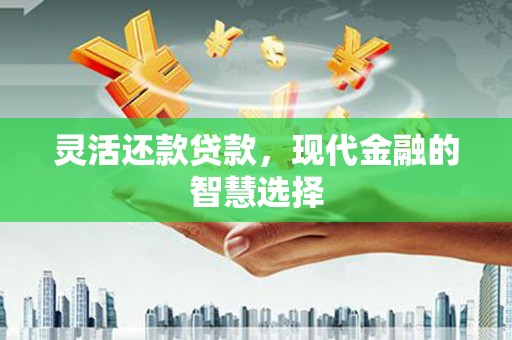 濮阳灵活还款贷款，现代金融的智慧选择