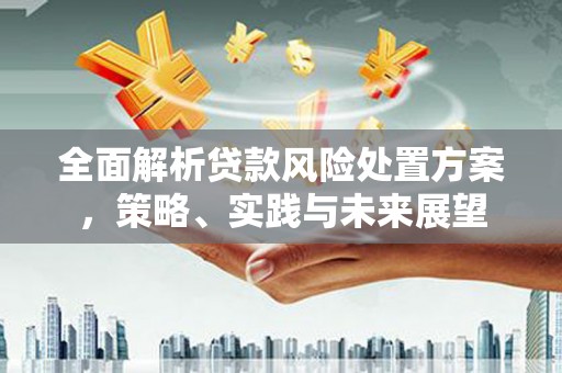 濮阳全面解析贷款风险处置方案，策略、实践与未来展望