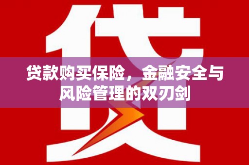 濮阳贷款购买保险，金融安全与风险管理的双刃剑
