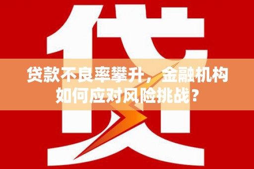 濮阳贷款不良率攀升，金融机构如何应对风险挑战？