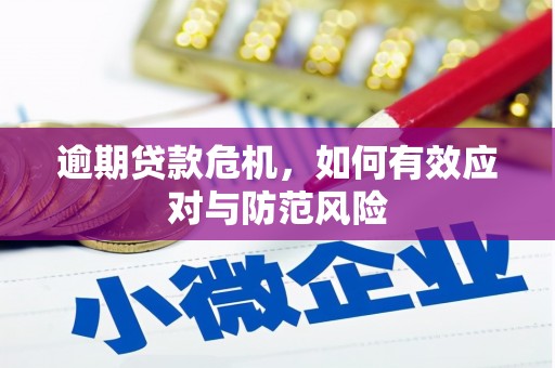 濮阳逾期贷款危机，如何有效应对与防范风险