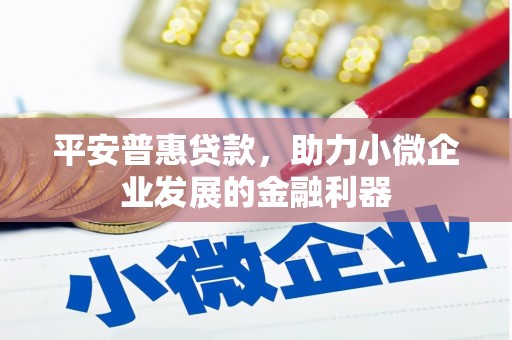 濮阳平安普惠贷款，助力小微企业发展的金融利器