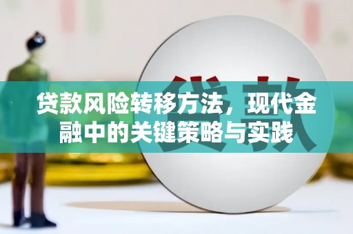 濮阳贷款风险转移方法，现代金融中的关键策略与实践