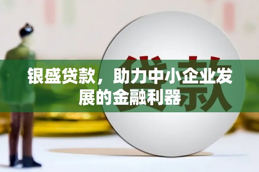 濮阳银盛贷款，助力中小企业发展的金融利器