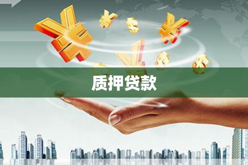 濮阳质押贷款