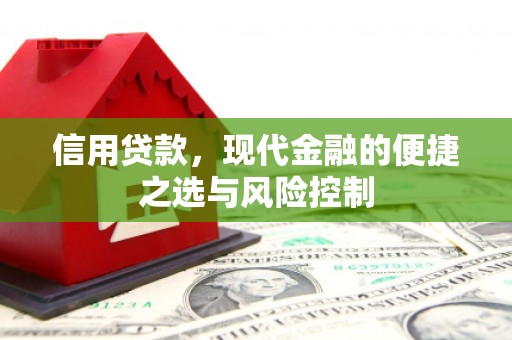 濮阳信用贷款，现代金融的便捷之选与风险控制