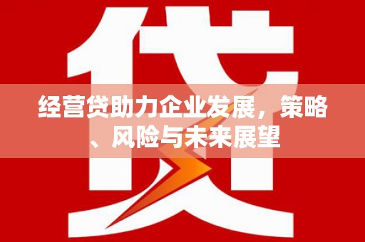 濮阳经营贷助力企业发展，策略、风险与未来展望