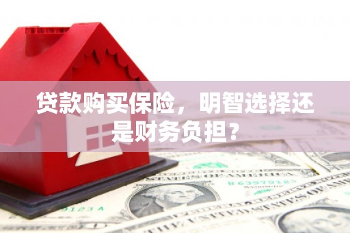 濮阳贷款购买保险，明智选择还是财务负担？