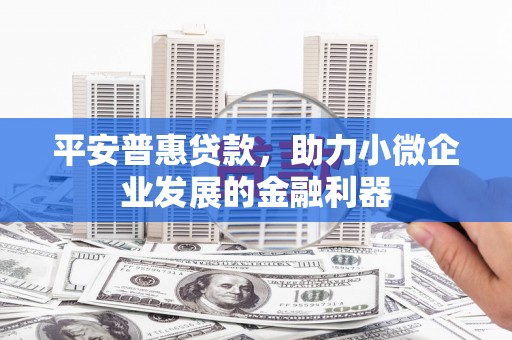 濮阳平安普惠贷款，助力小微企业发展的金融利器