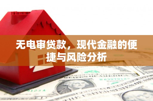 濮阳无电审贷款，现代金融的便捷与风险分析