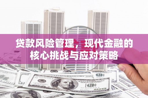 濮阳贷款风险管理，现代金融的核心挑战与应对策略
