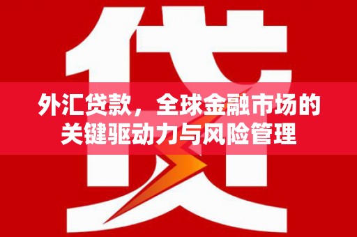 濮阳外汇贷款，全球金融市场的关键驱动力与风险管理