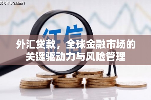 濮阳外汇贷款，全球金融市场的关键驱动力与风险管理