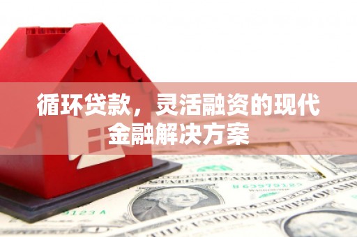 濮阳循环贷款，灵活融资的现代金融解决方案