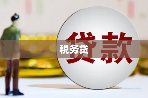 濮阳税务贷