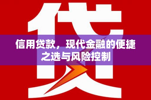 濮阳信用贷款，现代金融的便捷之选与风险控制