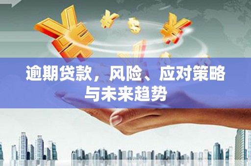 濮阳逾期贷款，风险、应对策略与未来趋势