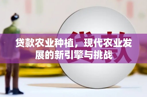 濮阳贷款农业种植，现代农业发展的新引擎与挑战
