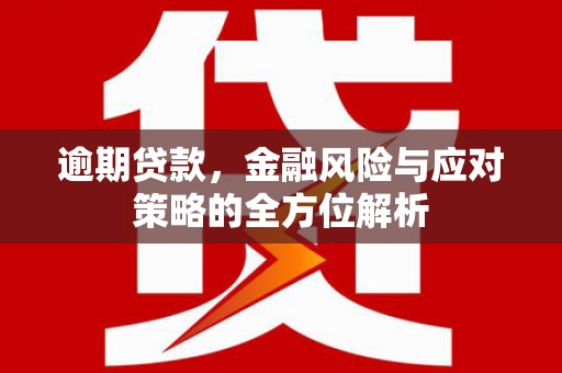 濮阳逾期贷款，金融风险与应对策略的全方位解析
