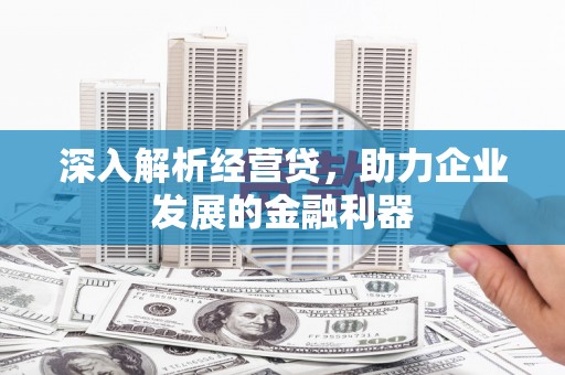 濮阳深入解析经营贷，助力企业发展的金融利器
