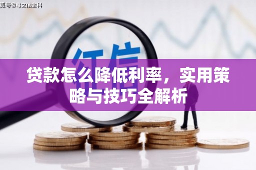 濮阳贷款怎么降低利率，实用策略与技巧全解析