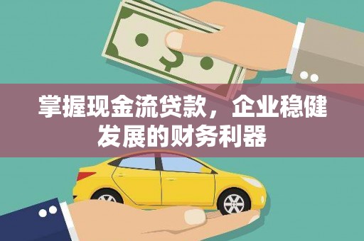 濮阳掌握现金流贷款，企业稳健发展的财务利器