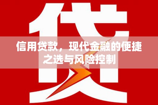 濮阳信用贷款，现代金融的便捷之选与风险控制