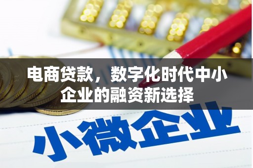 濮阳电商贷款，数字化时代中小企业的融资新选择