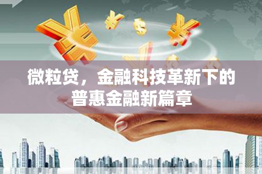 濮阳微粒贷，金融科技革新下的普惠金融新篇章