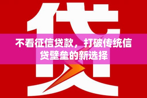 濮阳不看征信贷款，打破传统信贷壁垒的新选择
