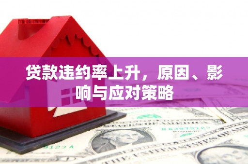 濮阳贷款违约率上升，原因、影响与应对策略