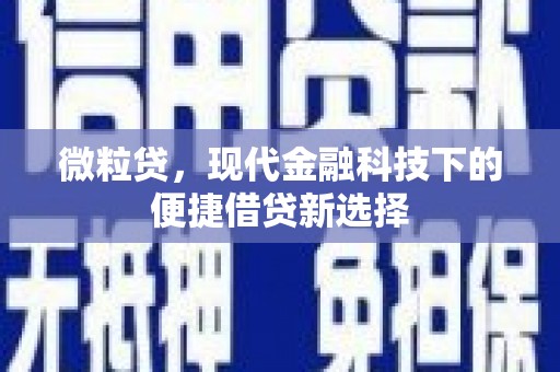 濮阳微粒贷，现代金融科技下的便捷借贷新选择