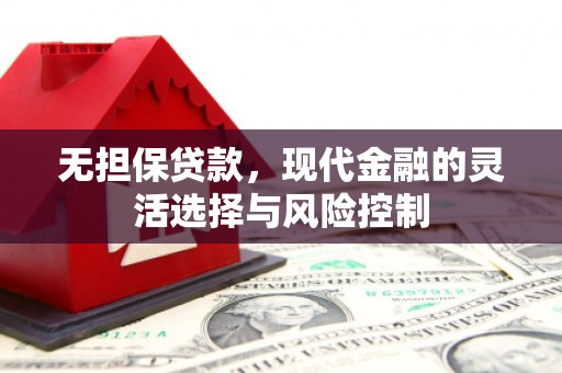 濮阳无担保贷款，现代金融的灵活选择与风险控制