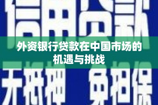 濮阳外资银行贷款在中国市场的机遇与挑战