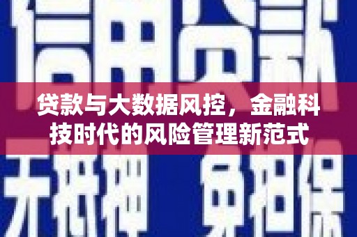 濮阳贷款与大数据风控，金融科技时代的风险管理新范式