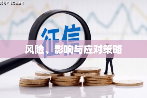 濮阳风险、影响与应对策略