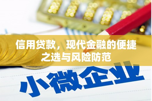 濮阳信用贷款，现代金融的便捷之选与风险防范