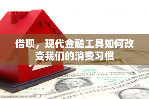 濮阳借呗，现代金融工具如何改变我们的消费习惯