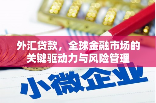 濮阳外汇贷款，全球金融市场的关键驱动力与风险管理