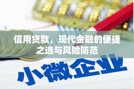 濮阳信用贷款，现代金融的便捷之选与风险防范